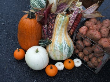 Farm Market-Stuart-VA - Click for More Info