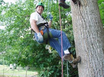 Blue Ridge Tree Climbing LLC - Click for More Info