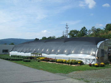Greenhouse at Landmark - Click for More Info